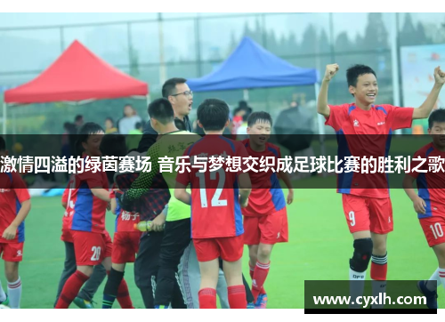 激情四溢的绿茵赛场 音乐与梦想交织成足球比赛的胜利之歌